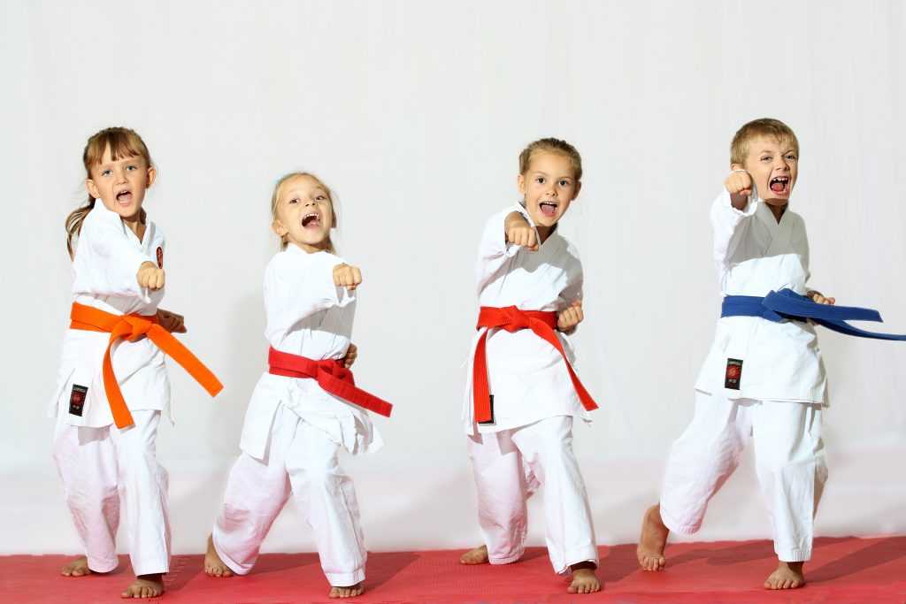 Martial Artist Kids