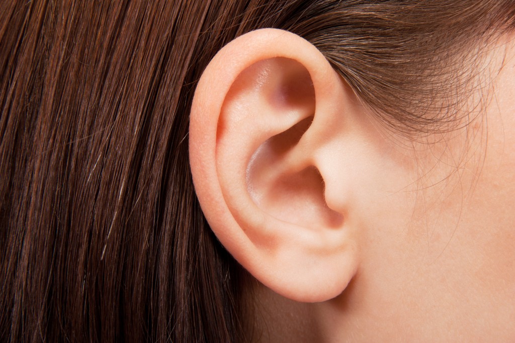 Closeup human ear