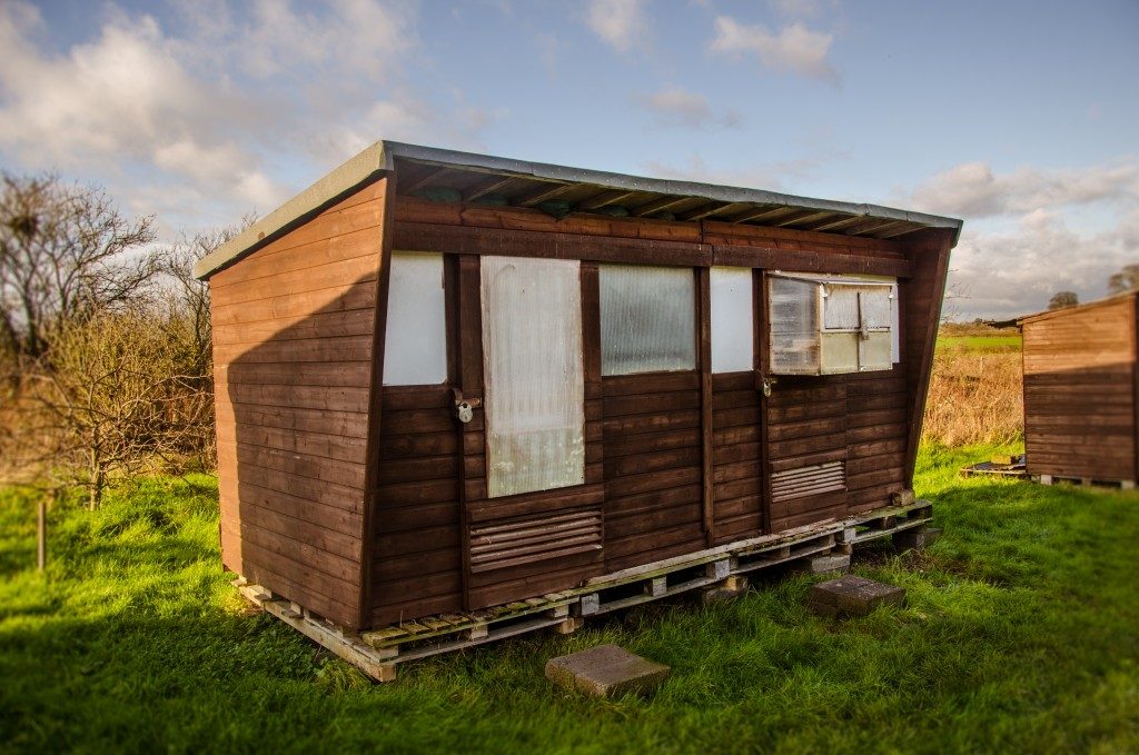 Cool wooden shed in allotments