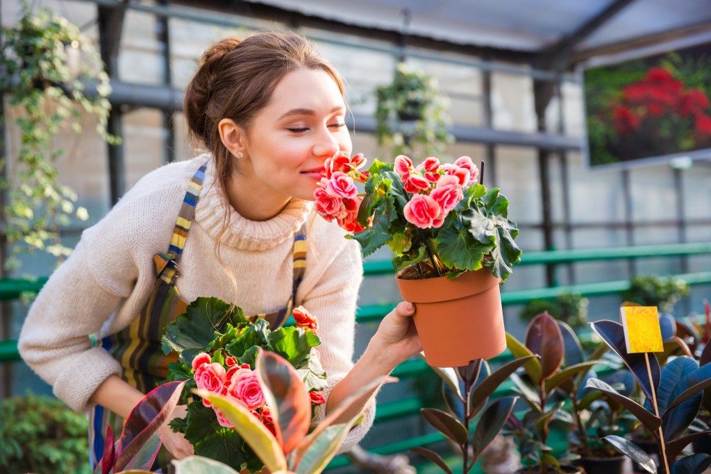 Woman holding potted plants