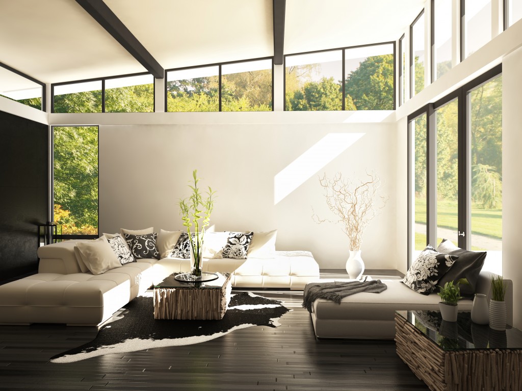 Living room with natural light