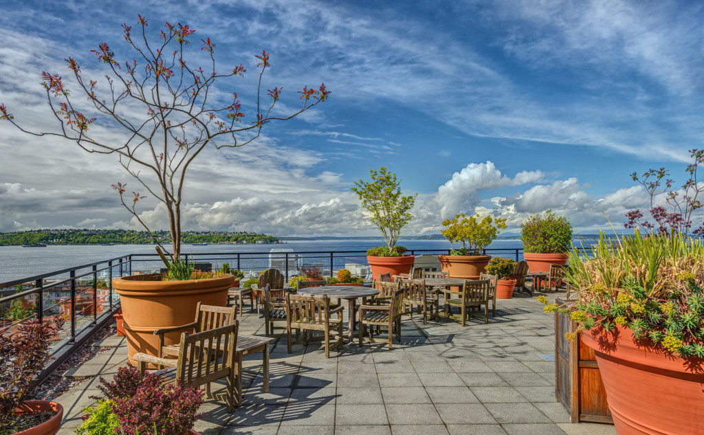 rooftop garden