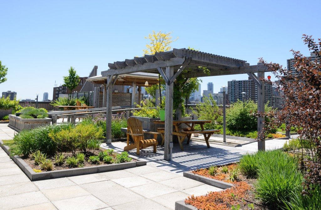 How You Can Build A Rooftop Garden Symbeohealth