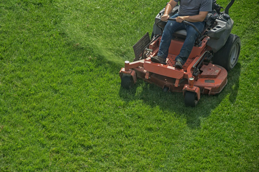 lawn maintenance