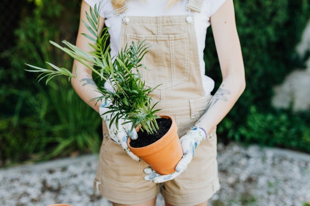 woman holding a plant