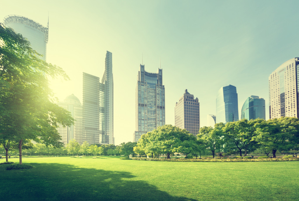 tall buildings amidst trees and grass